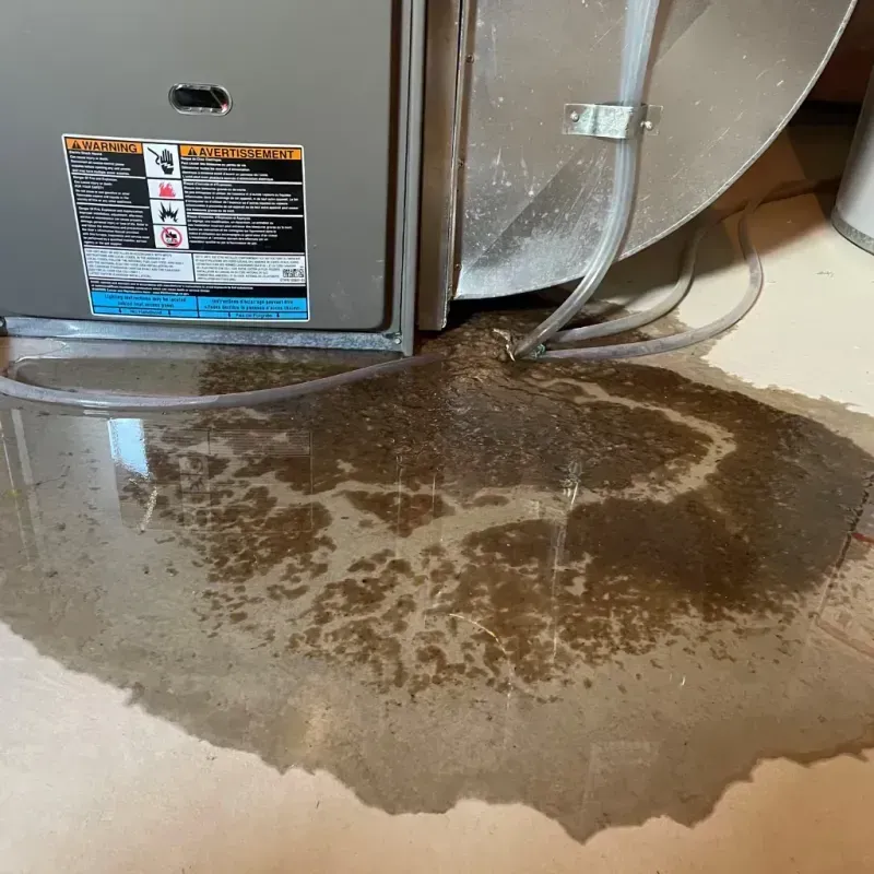 Appliance Leak Cleanup in Hernando, FL